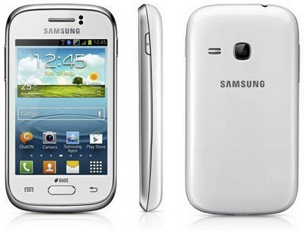 Samsung S6312 Galaxy Young DUOS
